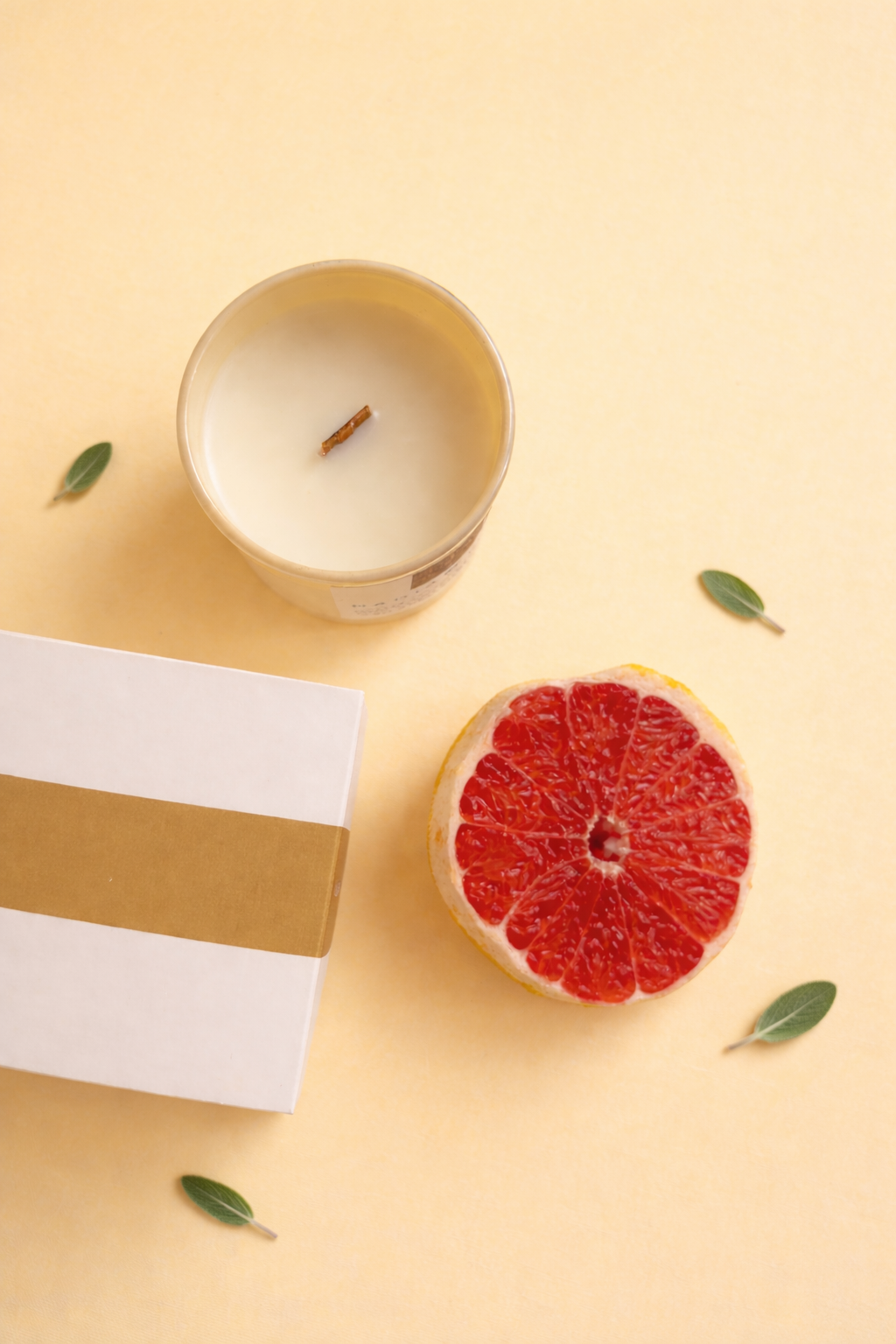Citrus & Sage 8oz Scented Candle